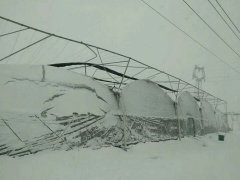 2018一場大雪，考驗(yàn)了多少個(gè)溫室大棚的質(zhì)量！